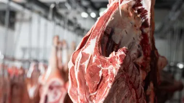 Mala noticia para la Patagonia: Chile suspendió compras de carne vacuna argentina
