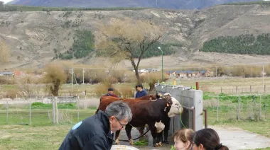 "A los productores patagónicos nos han mentido y despojado"