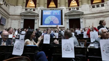 Por unanimidad, el Senado convirtió en ley la declaración de emergencia por discapacidad