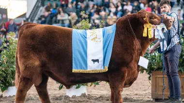 Con récord de animales inscriptos, el jueves 17 de julio comenzará la Exposición Rural de Palermo