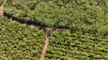 Femicidio en Misiones: hallan restos óseos y ropa que serían de Mirta Marciana Rodríguez