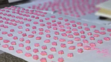 Clausuran un narcolaboratorio con capacidad para producir 14 mil pastillas de éxtasis