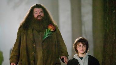 Así se ve el Rubeus Hagrid interpretado por Nick Frost en la serie de Harry Potter