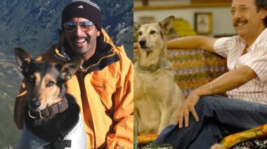 Qué pasó con Betún y Fatiga, los perros más famosos de Argentina