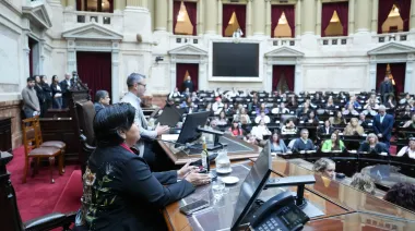 Argentina elige Defensor del Niño: cómo avanza el proceso en Diputados