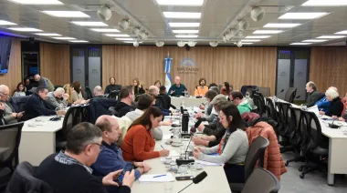 Ciencia en crisis: el reclamo de investigadores argentinos en Diputados