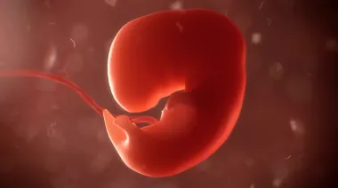 Aborto y activismo: Ana Cristina González en el ojo de la tormenta