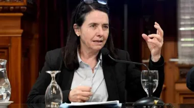 Carmen Álvarez Rivero cuestionó el derecho de los niños a ser atendidos en el Garrahan