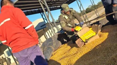 Un perro de Gendarmería descubrió un cargamento de drogas en un camión que transportaba maíz