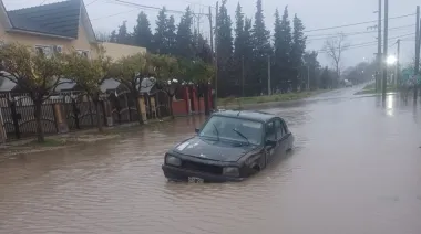 Candidato de Milei se quejó de las inundaciones en La Plata y lo fulminaron: "Fantasma"