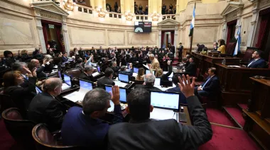 Senado: nueva derrota del Gobierno y represión afuera del Congreso
