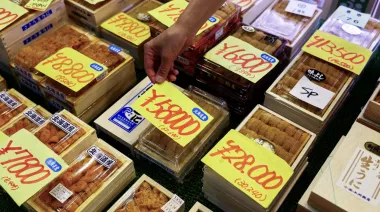 Crisis climática en Japón: el precio del erizo se duplica en Hokkaido