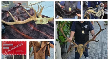 Secuestran ropa de pieles animales valuada en $335 millones en Villa Crespo
