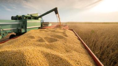 Soja: Argentina acelera ventas mientras China sigue comprando en Brasil