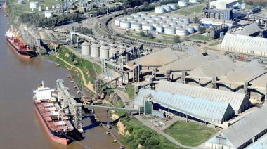 El Gobierno confirmó la baja de retenciones y los exportadores marcaron un récord: así fue la semana del agro
