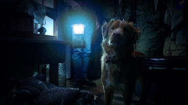 Good Boy, la creativa película de terror que comparan con Coraje, el perro cobarde