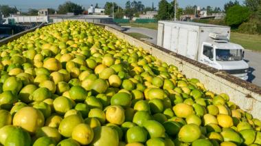 Maní, aceite de soja y limón, en el podio de las exportaciones argentinas al mundo