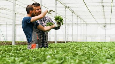 Empresas agropecuarias familiares: el desafío de pasar de la herencia a la gestión