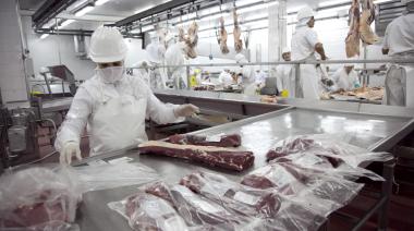 Exportaciones con sello Alimentos Argentinos crecieron 52% en el primer semestre