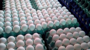 Con baja en los precios al consumidor, la producción y consumo de huevos alcanzó un nivel récord