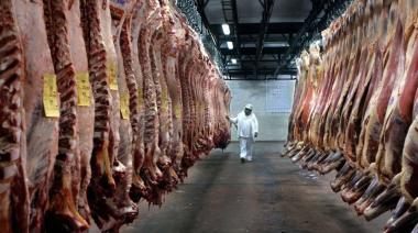 Exportaciones de carne: Uruguay y Paraguay crecen, mientras Brasil sufre los aranceles de Trump