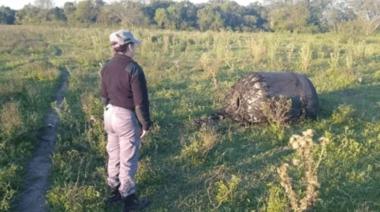 Chaco: confirman qué es el extraño objeto hallado es un campo de puerto Tirol