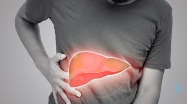 Descubren en el país una molécula que protege el hígado de la hepatitis fulminante