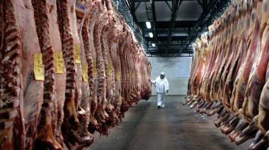 La Justicia federal frenó el ingreso de carne con hueso a la Patagonia