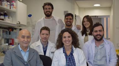 Histórico avance del CONICET: visualizan por primera vez un neurorreceptor clave con IA