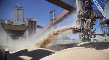 La BCR proyectó exportaciones del campo por USD 31.564 millones para 2025