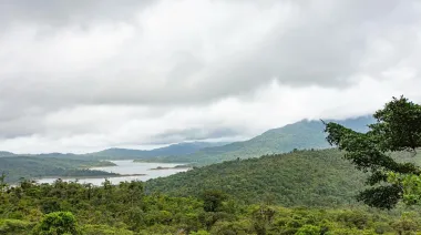 Centroamérica lanza plan ambiental para frenar deforestación: qué propone