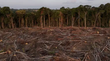 La Unión Europea pospone hasta 2026 la ley contra la deforestación
