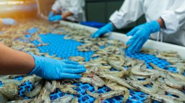 Al campo todo; a la pesca, ni justicia