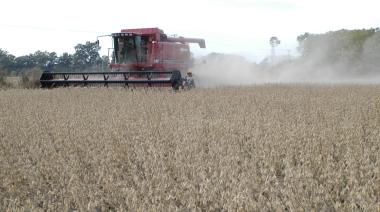 La Secretaría de Agricultura lanzó un mapa digital para seguir los cultivos en todo el país