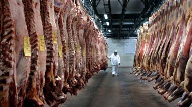 Elecciones, suba del dólar y carne vacuna: ¿hay riesgos de aumentos en las carnicerías?