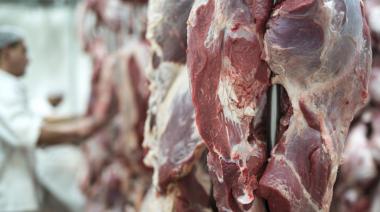 Quita de retenciones en carne: "No será relevante y no se podrá aprovechar"