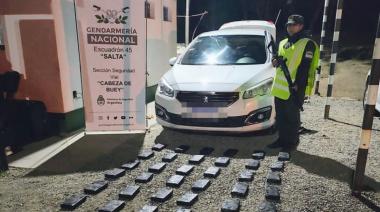 Gendarmería decomisó casi 48 kilos de cocaína ocultos en un vehículo en Salta
