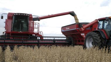 La Bolsa de Cereales de Buenos Aires anticipó una cosecha récord de 142,6 millones de toneladas