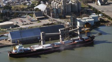Pese a menor molienda, las exportaciones de soja y girasol se mantienen en niveles récord