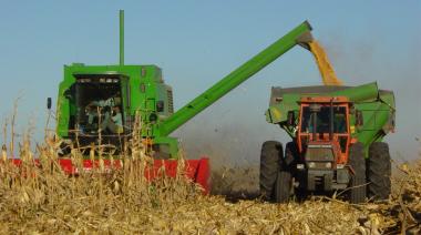 La semana del agro, entre un maíz que apunta al récord, soja en retroceso y reclamos por biodiésel
