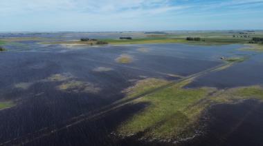 CARBAP alertó que hay más de 3 millones de hectáreas afectadas por las lluvias en Buenos Aires