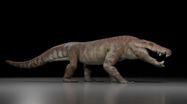 Descubren en la Patagonia una nueva especie de cocodrilo prehistórico