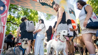 Llega el festival “más peludo y divertido” para las mascotas y sus humanos