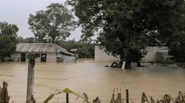 Desborde del río en Veracruz: la impactante cifra de evacuados