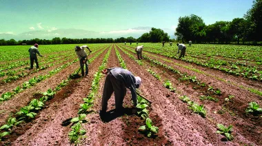 UATRE alerta sobre un cambio que podría afectar a miles de trabajadores