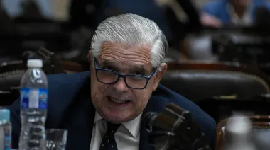 Asignación Universal por Discapacidad: el ambicioso plan de López Murphy