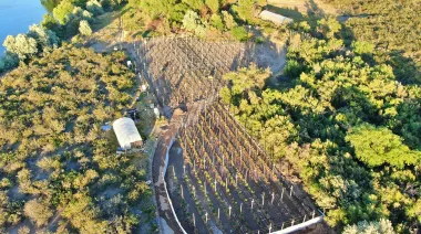 Traían droga desde Rosario y la distribuían en Río Negro: trece allanamientos y diez detenidos