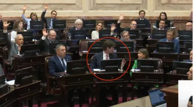 Diez momentos que marcaron la trayectoria de Lousteau, el diputado que entró por la ventana