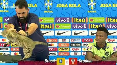 La maldición del gato: Brasil echó al DT de la Sub-20 por quedar fuera del Mundial