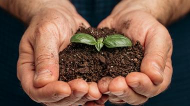 Los fertilizantes cumplen años: el invento que evitó el hambre de millones en todo el mundo